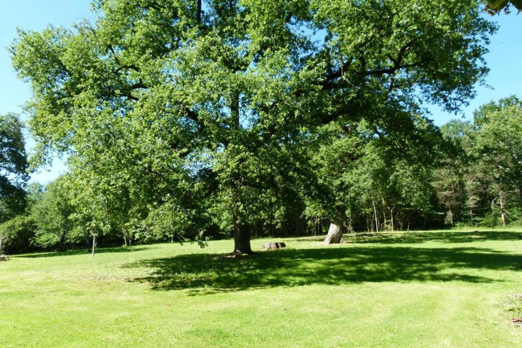 Gite En Brenne Les Chenes Merigny Exterior foto